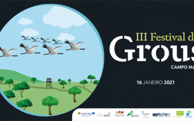 III FESTIVAL DOS GROUS DE CAMPOMAIOR