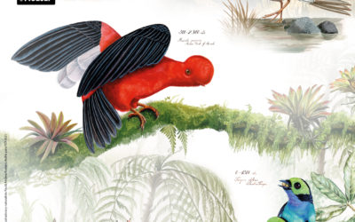 FEIRA INTERNACIONAL DE ORNITOLOGIA FIO 2021