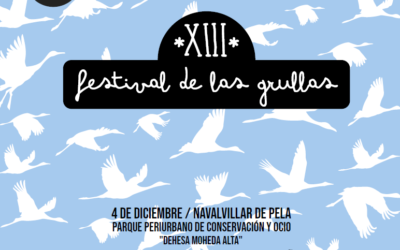 XIII FESTIVAL DE LAS GRULLAS EN NAVALVILLAR DE PELA.
