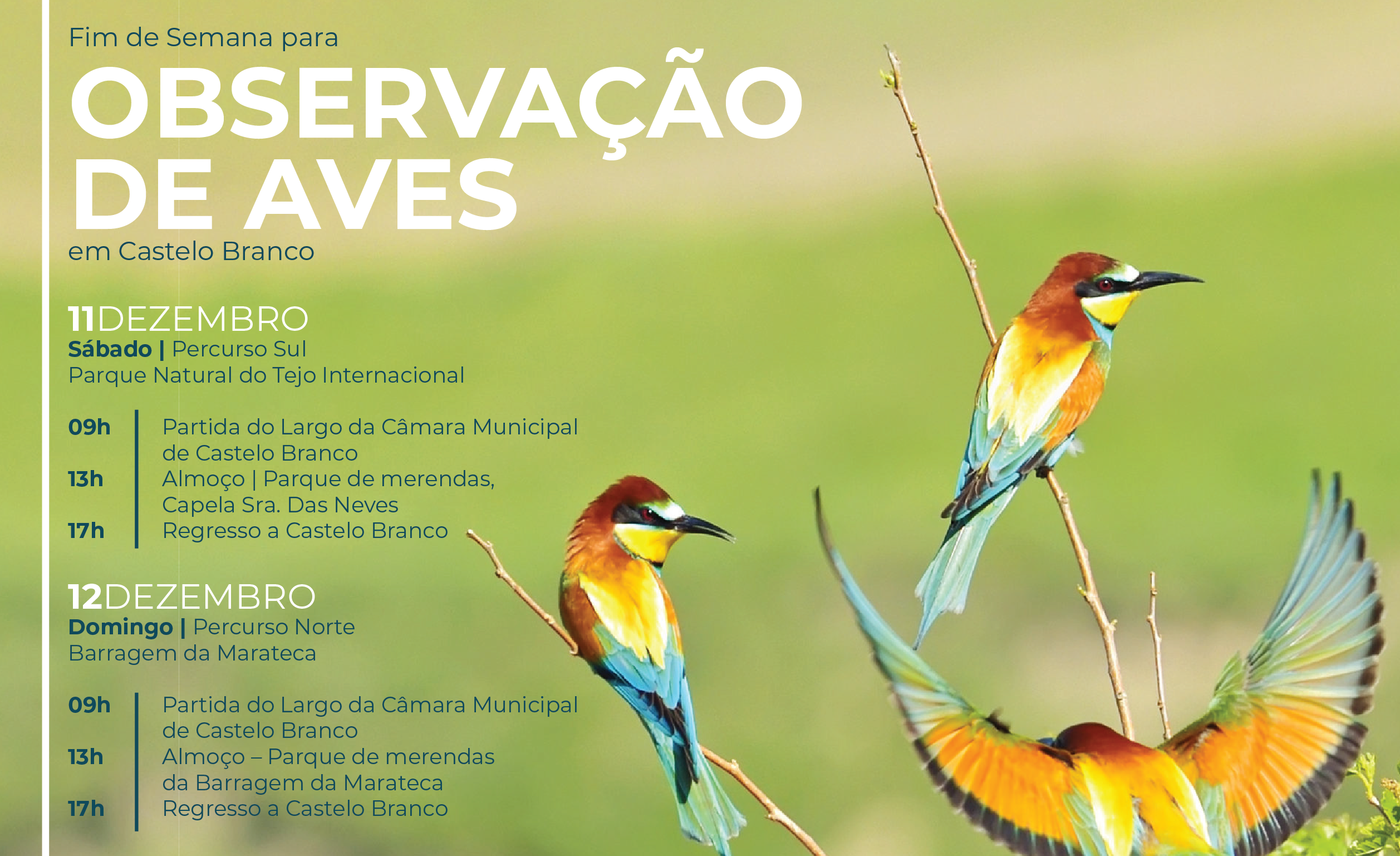 CÁMARA MUNICIPAL DE CASTELO BRANCO. VISITAS A LOS RECORRIDOS BIRDWATCHING.